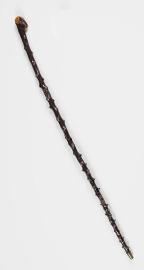 2020-129, Walking Stick