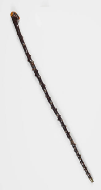 2020-129, Walking Stick