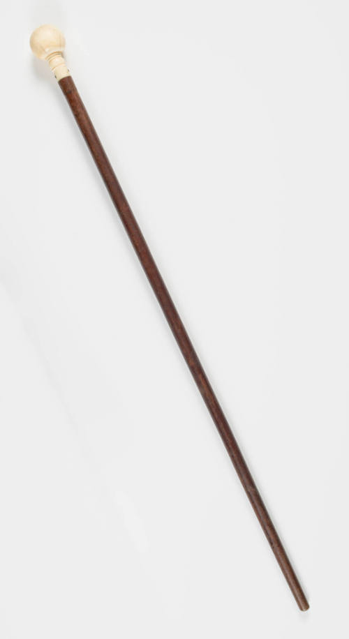 2020-130, Walking Stick