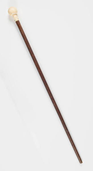 2020-130, Walking Stick