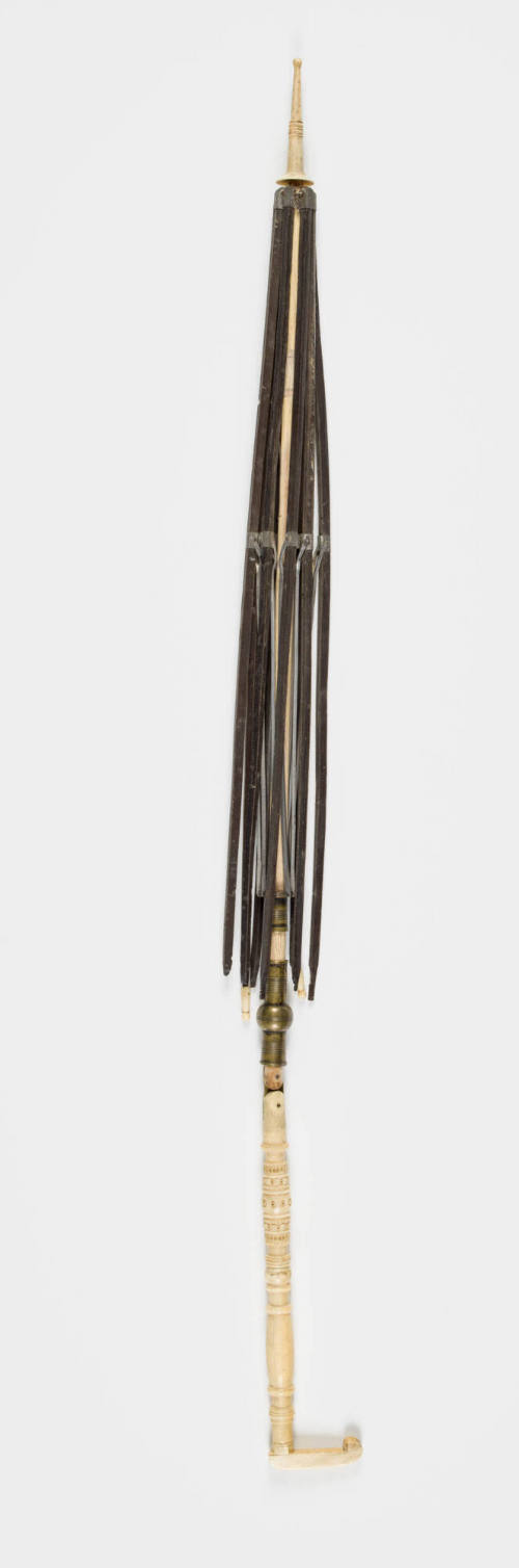 2023-251, Parasol