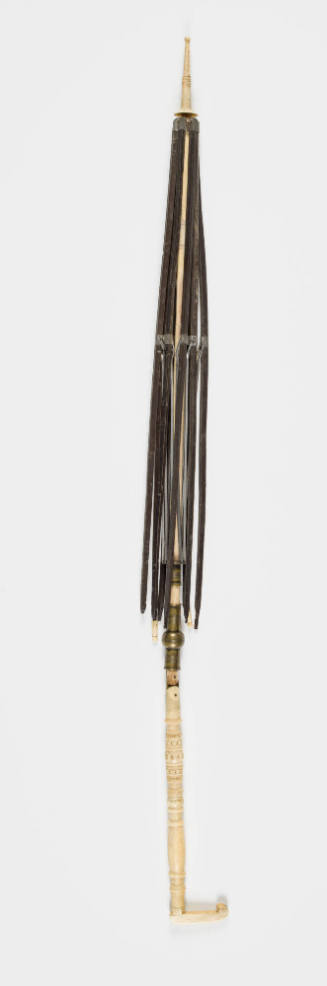 2023-251, Parasol