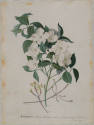 1991-15,A&B, Painting