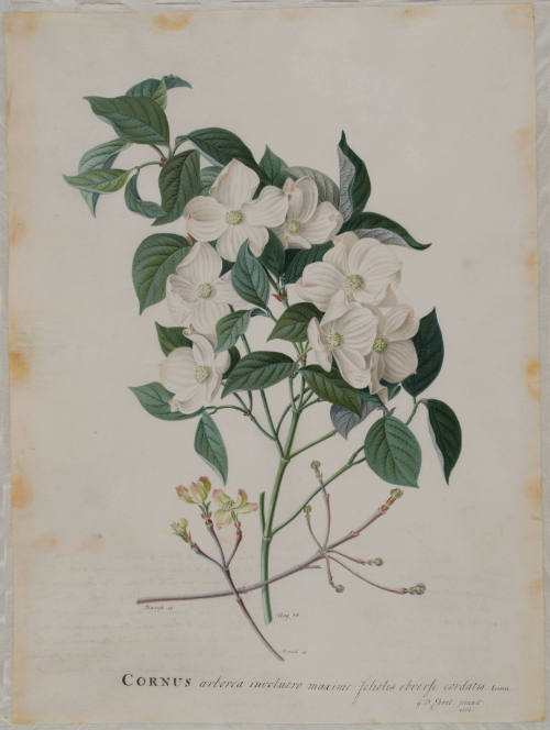 1991-15,A&B, Painting