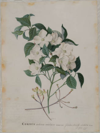 1991-15,A&B, Painting