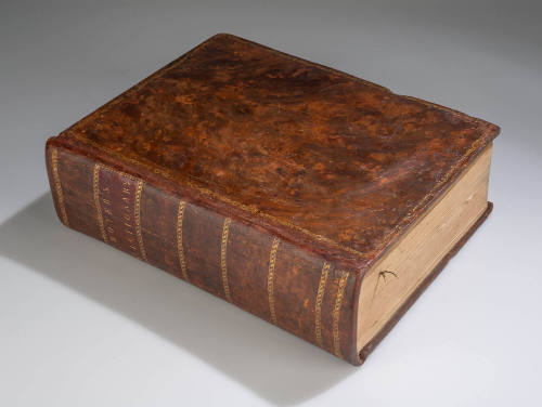 2025-129, Dictionary