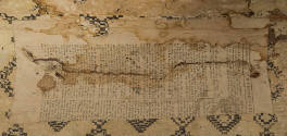 1954-244, Trunk