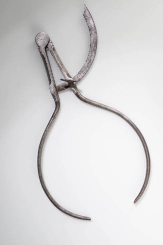 1993-310, Caliper