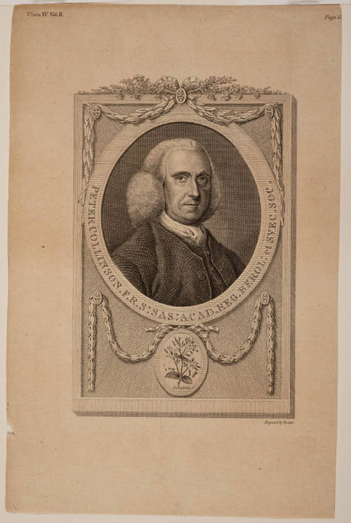2010-7, Print