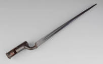 2025-128, Bayonet