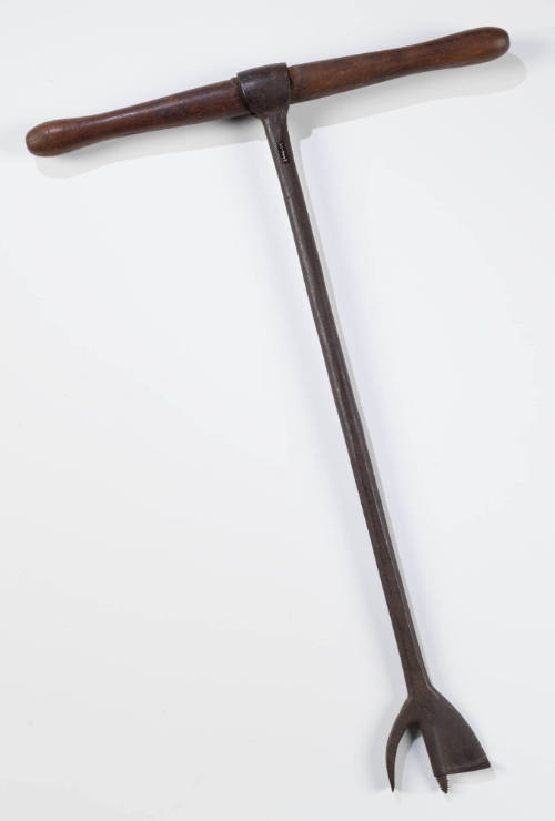 2006-79, Auger