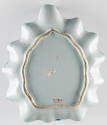 1988-313, Dish