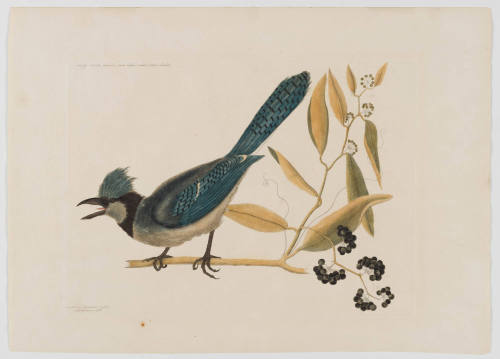 1992-6, Print