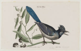 1996-93, Print