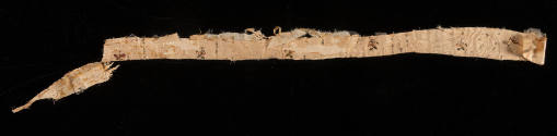 2023-163,C, Fragment