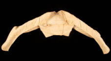 2023-144, Bodice