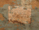 1953-833, Trunk