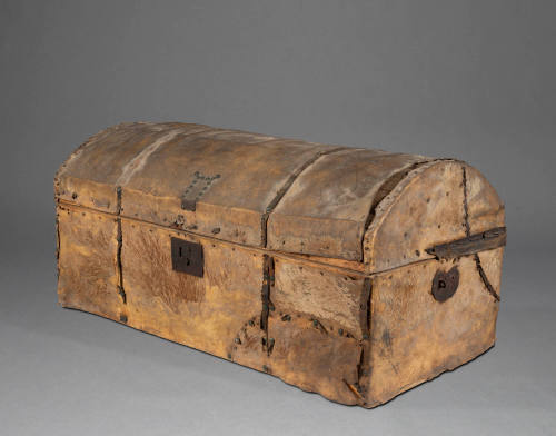 1954-393, Trunk