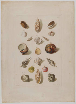 1961-278, Print