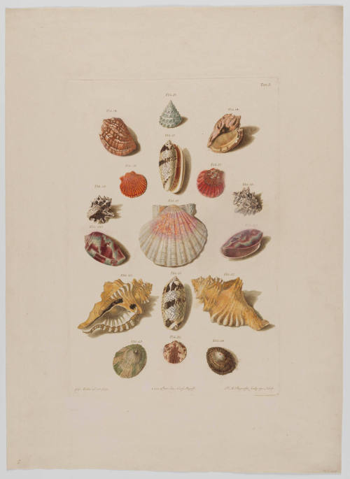 1961-279, Print