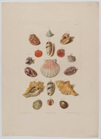 1961-279, Print