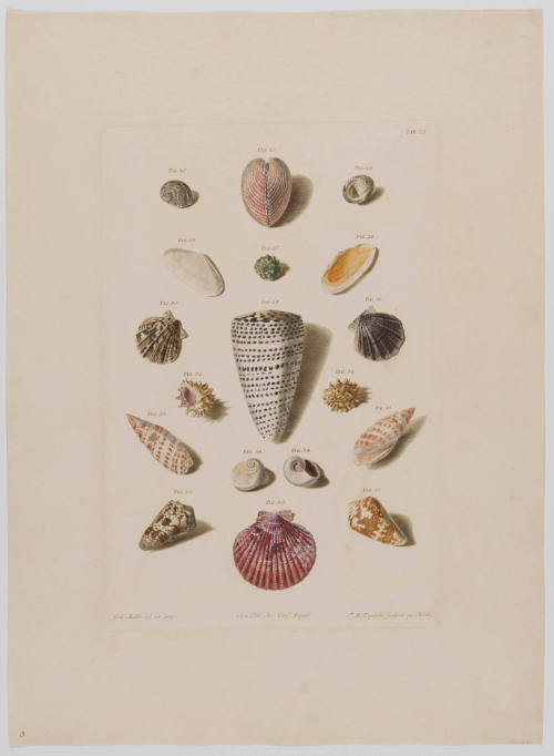 1961-280, Print