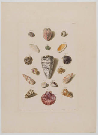 1961-280, Print
