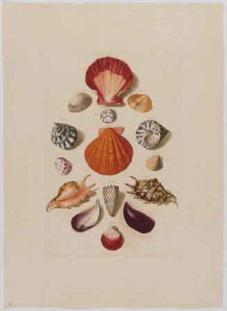 1961-281, Print