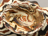 2005-246, Dish