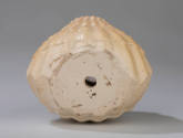2026-17, Block Mold