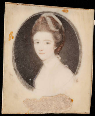 1985-291, Portrait