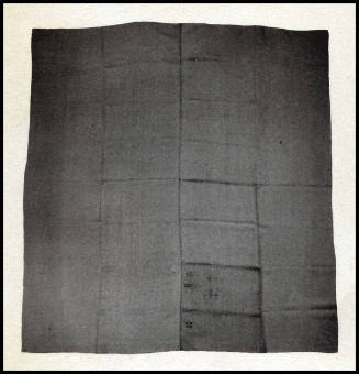 2009 Record shot by L. Baumgarten. Sheet.
