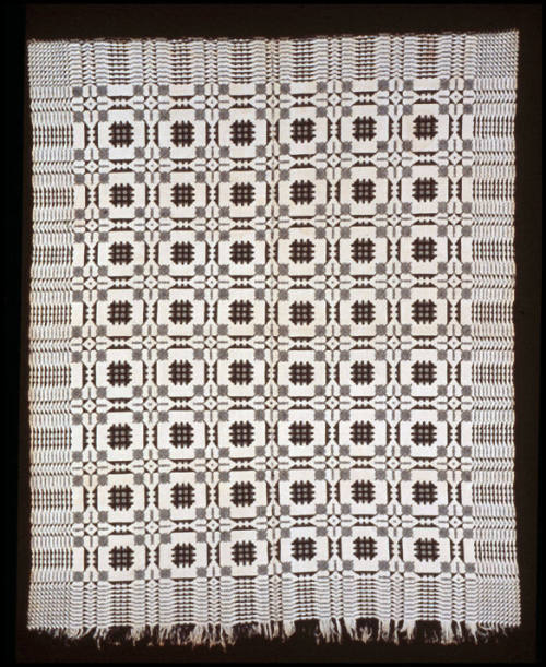 DS2003-0913
